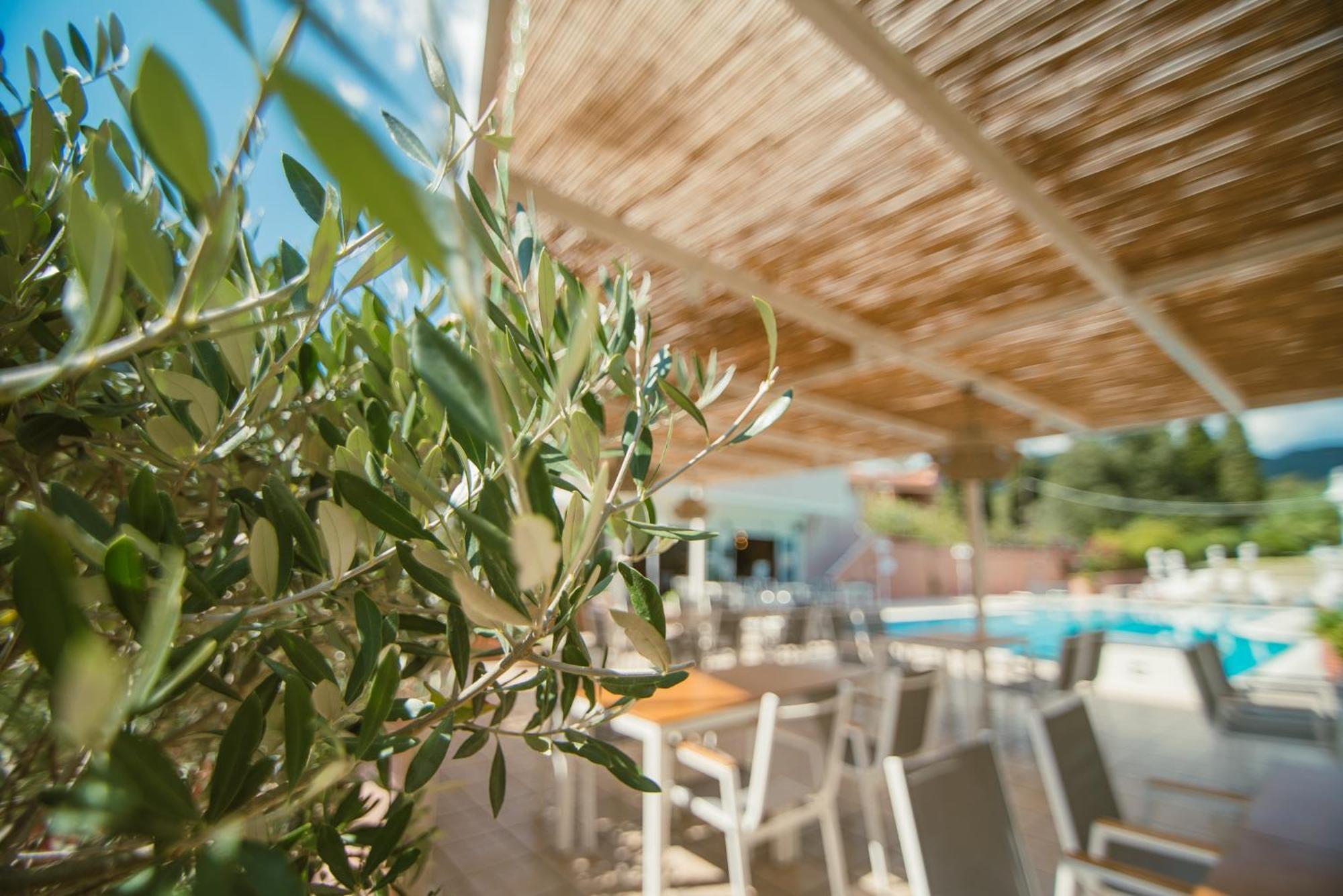 Dominoes Corfu Lejlighedshotel Ypsos Eksteriør billede